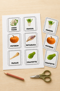 J'apprends les légumes : 38 cartes éducatives à découper !